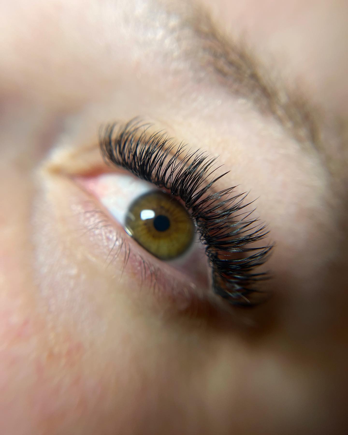 Lash detail
